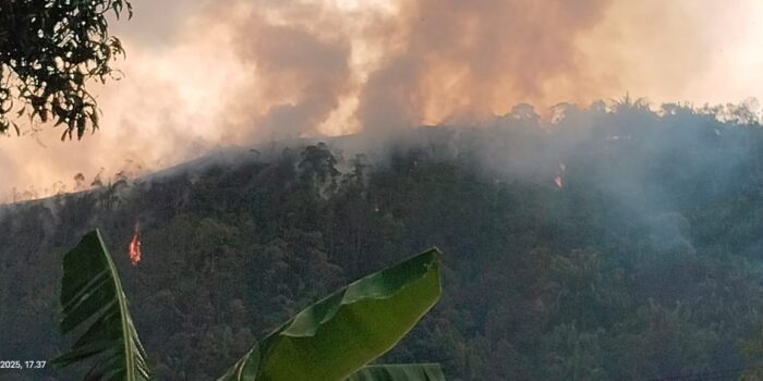 Karhutla Meluas di Krayan, BPBD Nunukan Sebut Api Sulit Dipadamkan Akibat Lokasi Terpencil dan Minim Alat