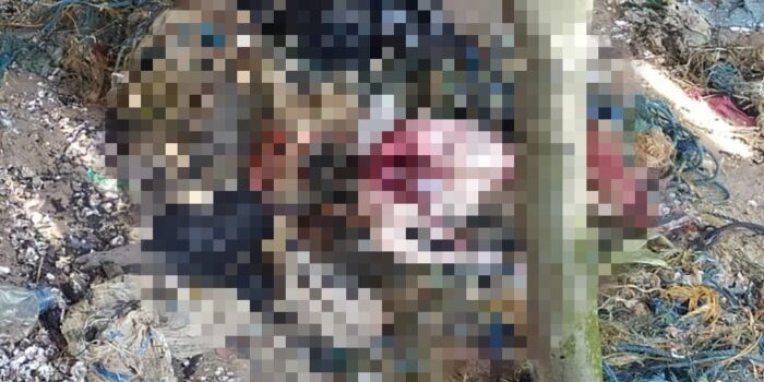 Penemuan Mayat Bayi Gegerkan Warga Sedadap Nunukan, Ketua RT: Ini Kejadian Pertama dan Sangat Mengejutkan