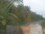IMG-20250806-WA0029
