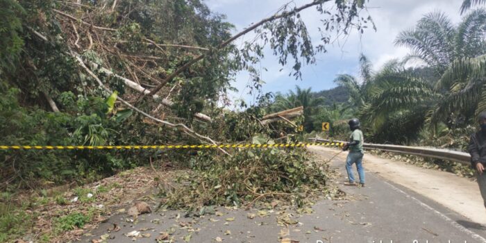 Longsor Tutup Jalan Nasional di Gunung Batu Mayo, Akses Ekonomi dan Transportasi Warga Tulin Onsoi-Sebuku Lumpuh