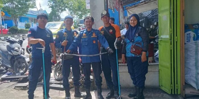 Sepanjang Januari-Juli 2025, Disdamkar Nunukan Evakuasi 125 Ular dari Permukiman Warga