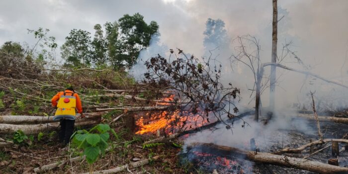 Karhutla Hanguskan 2 Hektare Lahan di Mansapa Nunukan, Warga Diminta Stop Bakar Kebun