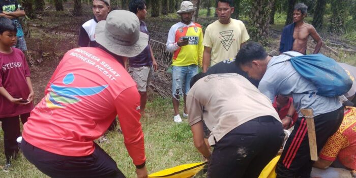 Hilang Saat Cari Sapi, Pemuda 18 Tahun di Sebatik Ditemukan Tewas Terapung di Sungai