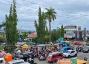 Muhammad Nasir Kawal Sektor UMKM dan Rumput Laut di Tengah Penurunan APBD Kaltara