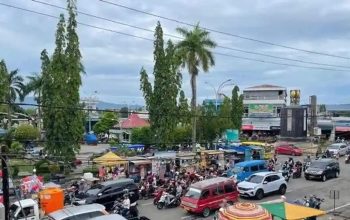 Muhammad Nasir Kawal Sektor UMKM dan Rumput Laut di Tengah Penurunan APBD Kaltara