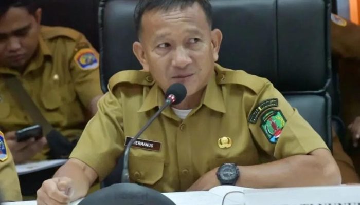 Wabup Hermanus Dukung Program Karbon Mangrove, Nunukan Punya Potensi Besar