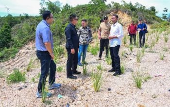 Sejumlah Proyek di Tarakan Dapat Catatan dan Apresiasi DPRD Kaltara