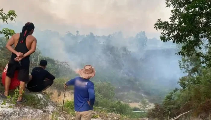 Angin Kencang Picu Api Cepat Menyebar, BPBD Nunukan Berjibaku Padamkan Karhutla di Perbukitan