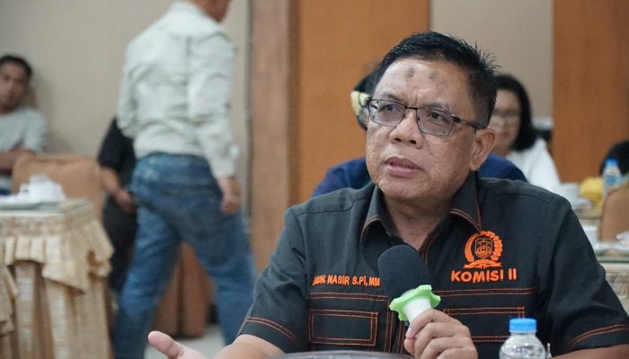 Gejolak Harga Sawit Kaltara, Muhammad Nasir Ingatkan Jangan Korbankan Petani