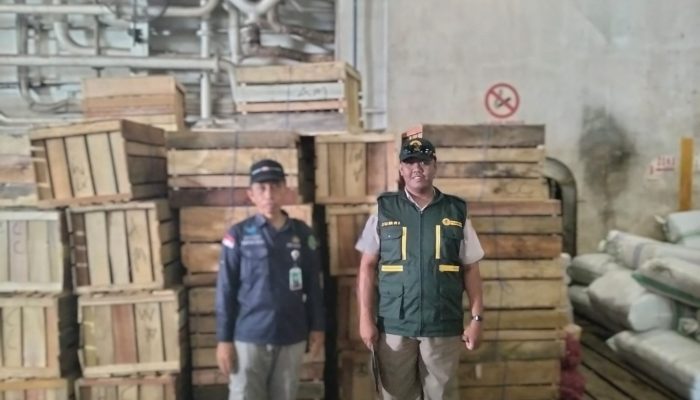Buah Ekspor Masih dari Sulawesi, Pemkab Nunukan Dorong Produksi Lokal