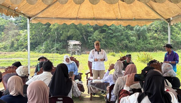 Pemkab Nunukan Dorong Pertanian Modern dan Perluasan Sawah untuk Perkuat Ketahanan Pangan