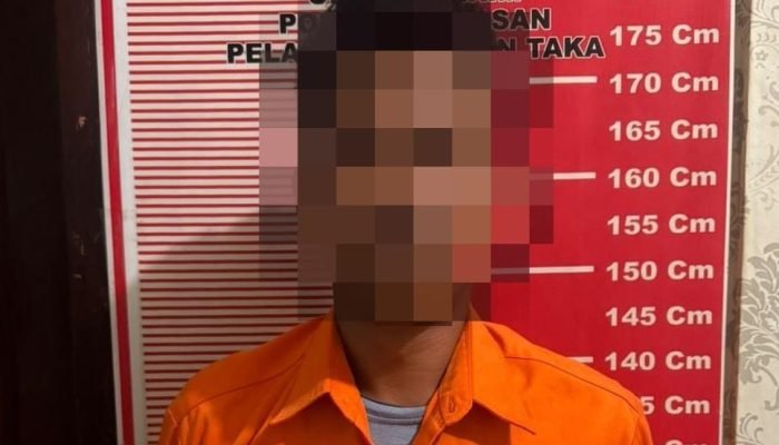 Polisi Ungkap Dugaan Penggelapan Rumput Laut di Nunukan, Kerugian Capai Rp25 Juta
