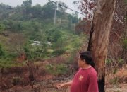 Asap Karhutla Mulai Ganggu Aktivitas Warga Nunukan, DPRD Kaltara Minta Pemerintah Jangan Tunggu Krisis Membesar
