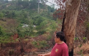 Asap Karhutla Mulai Ganggu Aktivitas Warga Nunukan, DPRD Kaltara Minta Pemerintah Jangan Tunggu Krisis Membesar
