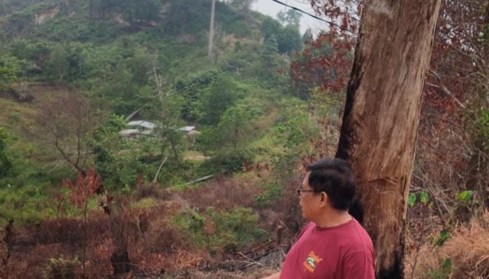 Asap Karhutla Mulai Ganggu Aktivitas Warga Nunukan, DPRD Kaltara Minta Pemerintah Jangan Tunggu Krisis Membesar