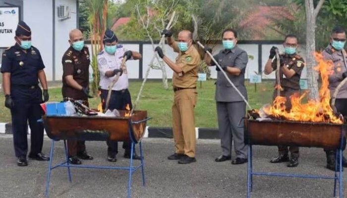 Pemkab Nunukan Tegaskan Dukungan Penegakan Hukum, Barang Bukti 56 Perkara Dimusnahkan