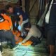 Pria 49 Tahun Ditemukan Tewas di Eks Lokalisasi, Polres Nunukan: Mulut Berbusa