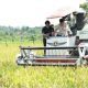 Wabup Hermanus Dorong Inovasi Teknologi untuk Tingkatkan Produktivitas Pertanian Nunukan